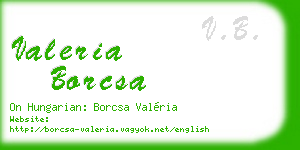 valeria borcsa business card